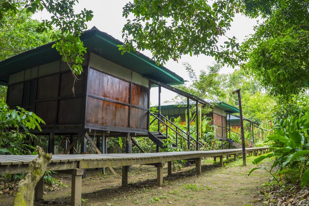 Amazon Planet Hotel Tambopata Екстериор снимка